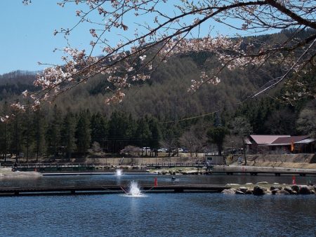 平谷湖フィッシングスポット 釣果