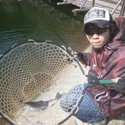 平谷湖フィッシングスポット 釣果