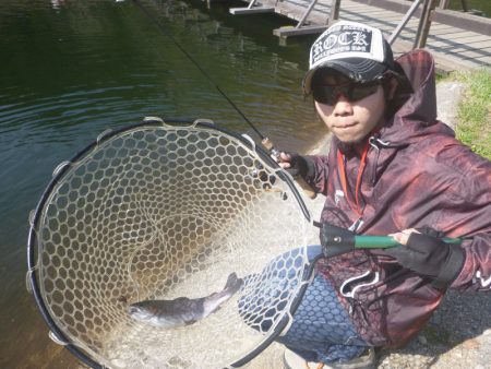 平谷湖フィッシングスポット 釣果