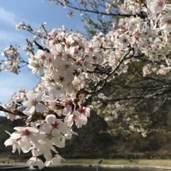 平谷湖フィッシングスポット 釣果