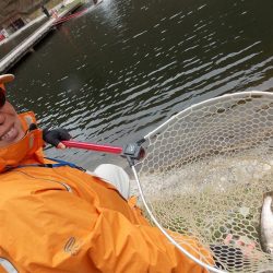 平谷湖フィッシングスポット 釣果