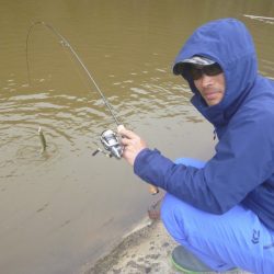 平谷湖フィッシングスポット 釣果