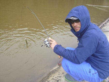 平谷湖フィッシングスポット 釣果