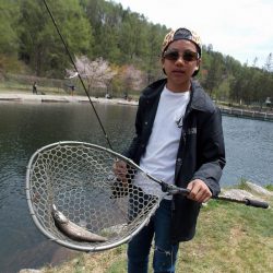 平谷湖フィッシングスポット 釣果