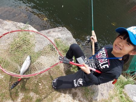 平谷湖フィッシングスポット 釣果