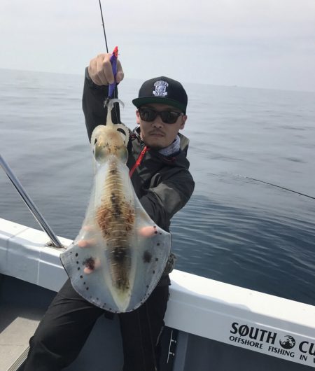 South Current 釣果