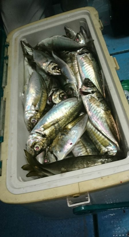 シースナイパー海龍 釣果