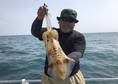 South Current 釣果