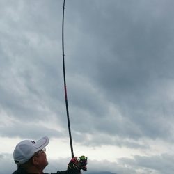 シースナイパー海龍 釣果