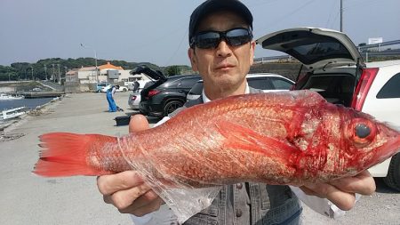 ぽん助丸 釣果