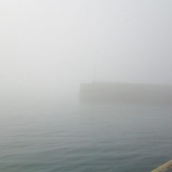 マリンガイド福丸 釣果