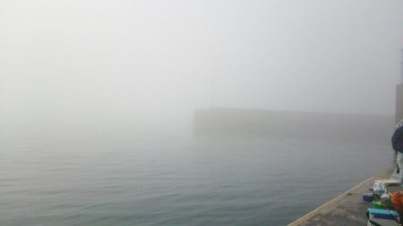 マリンガイド福丸 釣果