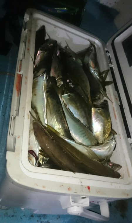 シースナイパー海龍 釣果