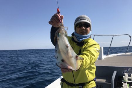 South Current 釣果