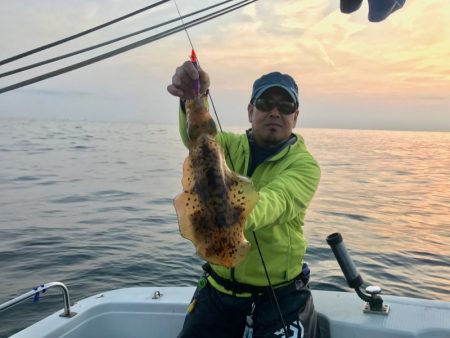 South Current 釣果