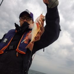 ひな丸 釣果