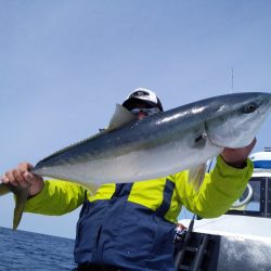 ひな丸 釣果