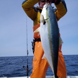ひな丸 釣果