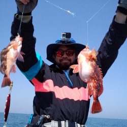 ひな丸 釣果