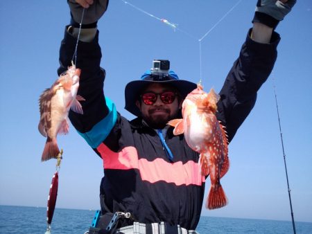 ひな丸 釣果
