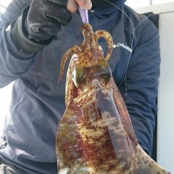 シースナイパー海龍 釣果