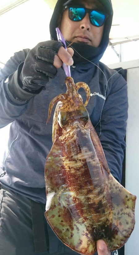 シースナイパー海龍 釣果
