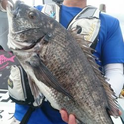 シースナイパー海龍 釣果