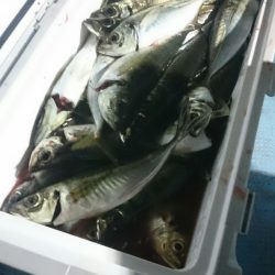 シースナイパー海龍 釣果