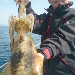 シースナイパー海龍 釣果