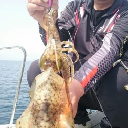 シースナイパー海龍 釣果