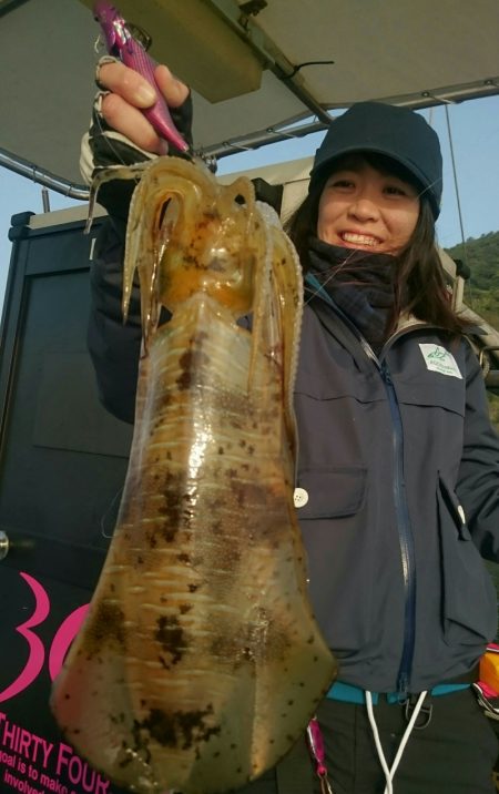 シースナイパー海龍 釣果