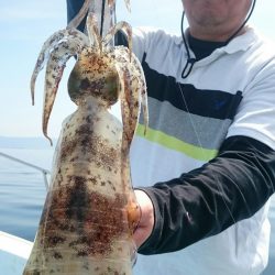 シースナイパー海龍 釣果
