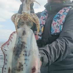 シースナイパー海龍 釣果