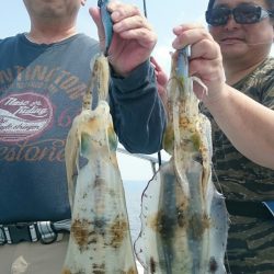 シースナイパー海龍 釣果