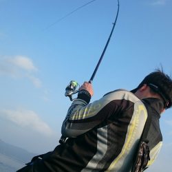 シースナイパー海龍 釣果