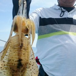 シースナイパー海龍 釣果