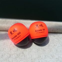 シースナイパー海龍 釣果