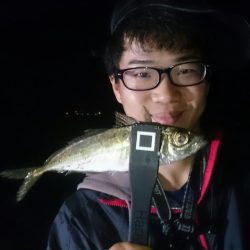 シースナイパー海龍 釣果