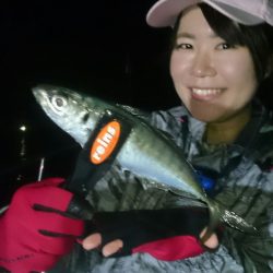 シースナイパー海龍 釣果