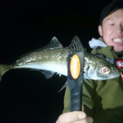 シースナイパー海龍 釣果