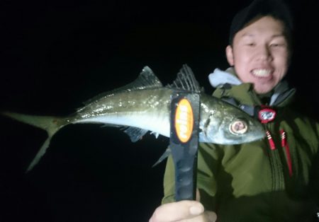 シースナイパー海龍 釣果