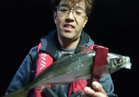 シースナイパー海龍 釣果