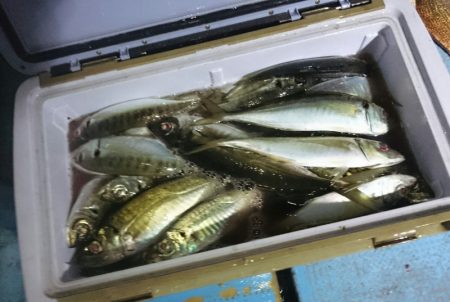 シースナイパー海龍 釣果