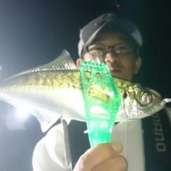 シースナイパー海龍 釣果