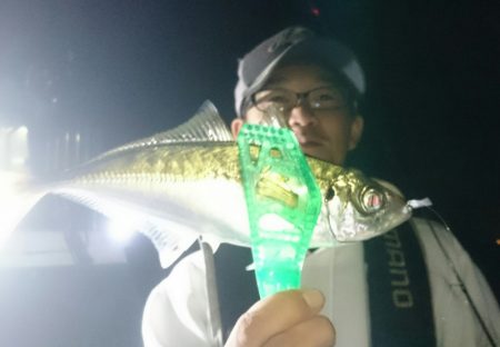 シースナイパー海龍 釣果