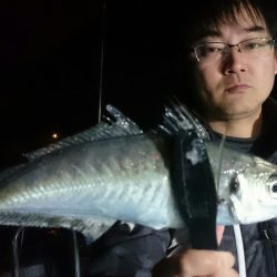 シースナイパー海龍 釣果