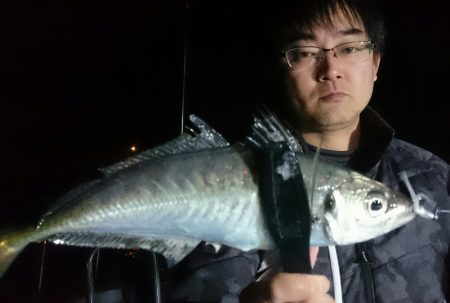 シースナイパー海龍 釣果