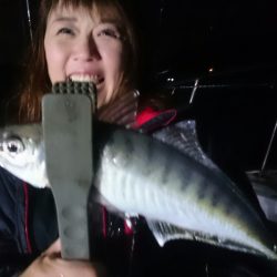 シースナイパー海龍 釣果