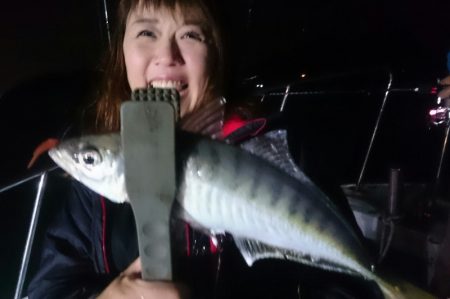 シースナイパー海龍 釣果