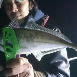 シースナイパー海龍 釣果